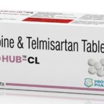 Telmohub-cl